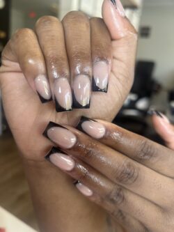 Black frenchies